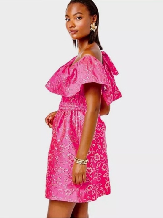 Lilly Pulitzer Dresses & Skirts - Lilly Pulitzer Mini Dress